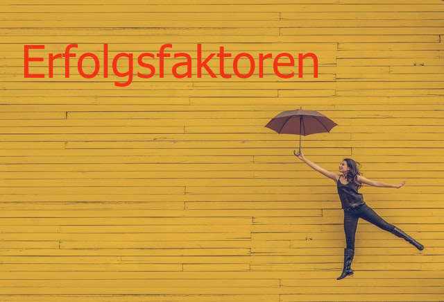 Erfolgsfaktoren Erfolgsfaktoren